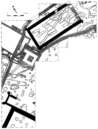 Plan of the BVAS digs at Cressing Temple