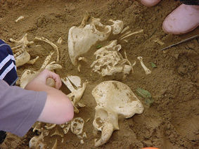 Excavating the graves