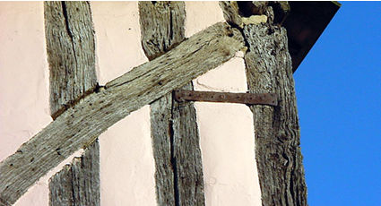Strip holding two studs in place