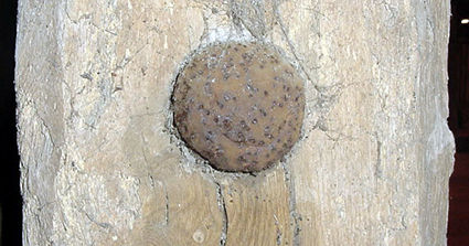 Head of forelock bolt