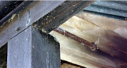 Round section modern staple.