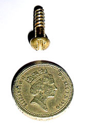 Dome-headed brass screw