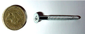 Pozidrive or Phillips headed screw